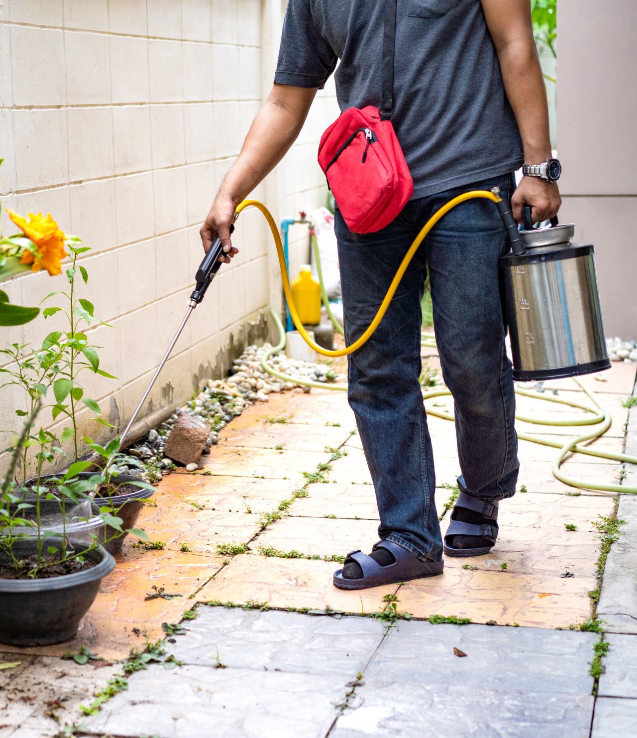Technician applying treatment along a garden bed